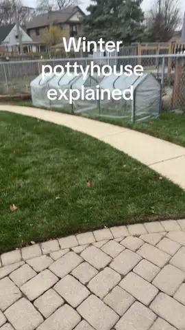 Potty house explained. Please watch. #chicagowinter #smalldog #ilovemydog #fyp #chicagodogs Quictent Portable Mini Cloche... https://www.amazon.com/dp/B00GOO83UK?ref=ppx_pop_mob_ap_share