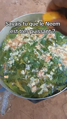 #VoiceEffects #pouletgoliath #poulet #œuf 