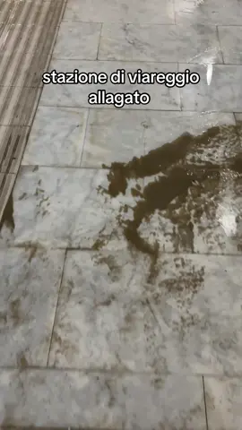 #foryou #fyp #fup #fipシ #perte 