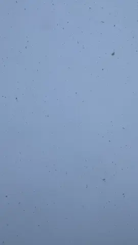 فيديو راهو متع نهار السبت قديم ❄️🌨️⛄️#foryou #foryoupage #عين_دراهم_طبرقة❤️_جندوبة_الشمال_الغربي #tiktok #بنيمطير 