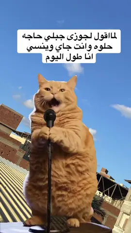 دا انا هفضحك 🤣🤣