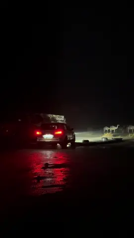 #خالد_ال_بريك #احمد_الجويدي #البل #الامطار #اكسبلور 