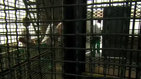 Cap:185- Último Capítulo de  Insensato Coração ♥︎  #Novelas #novelainsensatocoração 