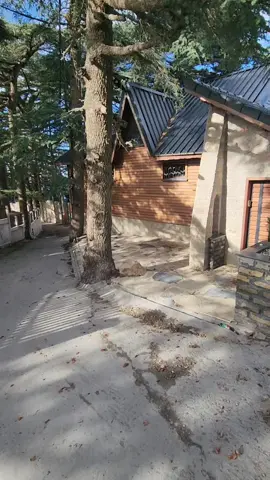 #explore #viraltiktok #rai #capcutvelocity #الشعب_الصيني_ماله_حل😂😂 