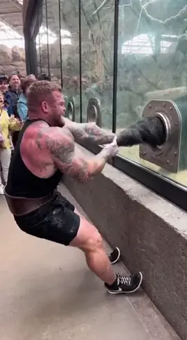 Gorilla vs Me #gorilla#armwrestling #sora 