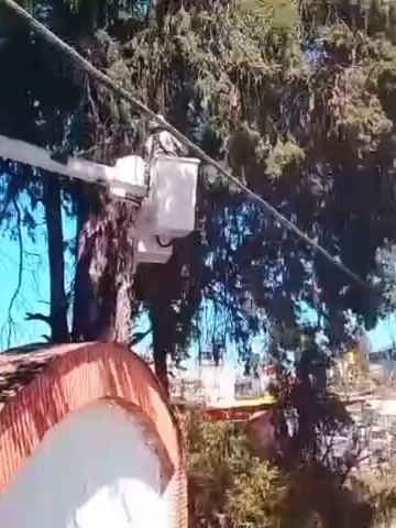 El Gobierno Municipal de Chiautempan que encabeza la presidenta Blanca Angulo, continúa trabajando en la limpieza y el mejoramiento de la imagen urbana a través de diversas brigadas. 🌿🧹 Hoy se brindó atención en los siguientes puntos: ✅Unidad Santa Cruz: Poda de árboles para prevenir accidentes, en coordinación con CFE. ✅Bulevar Santa Ana – Apetatitlán: Limpieza general y atención a arbustos. ✅Calle Progreso Sur: Limpieza de las letras Chiautempan.  Por favor, evitemos tirar basura, seamos parte del cambio que queremos ver. ♻ #IdentidadQueTransforma