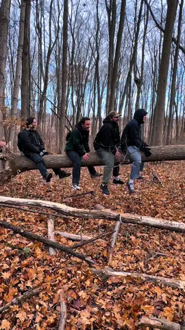 Tree-ter Totter 🌳 