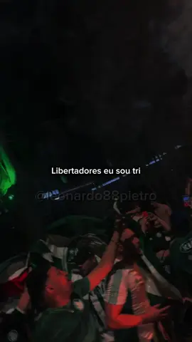 Libertadores eu sou tri 🤍💚 . . . . . #palmeiras #manchaverde #libertadores #viral #fyp 