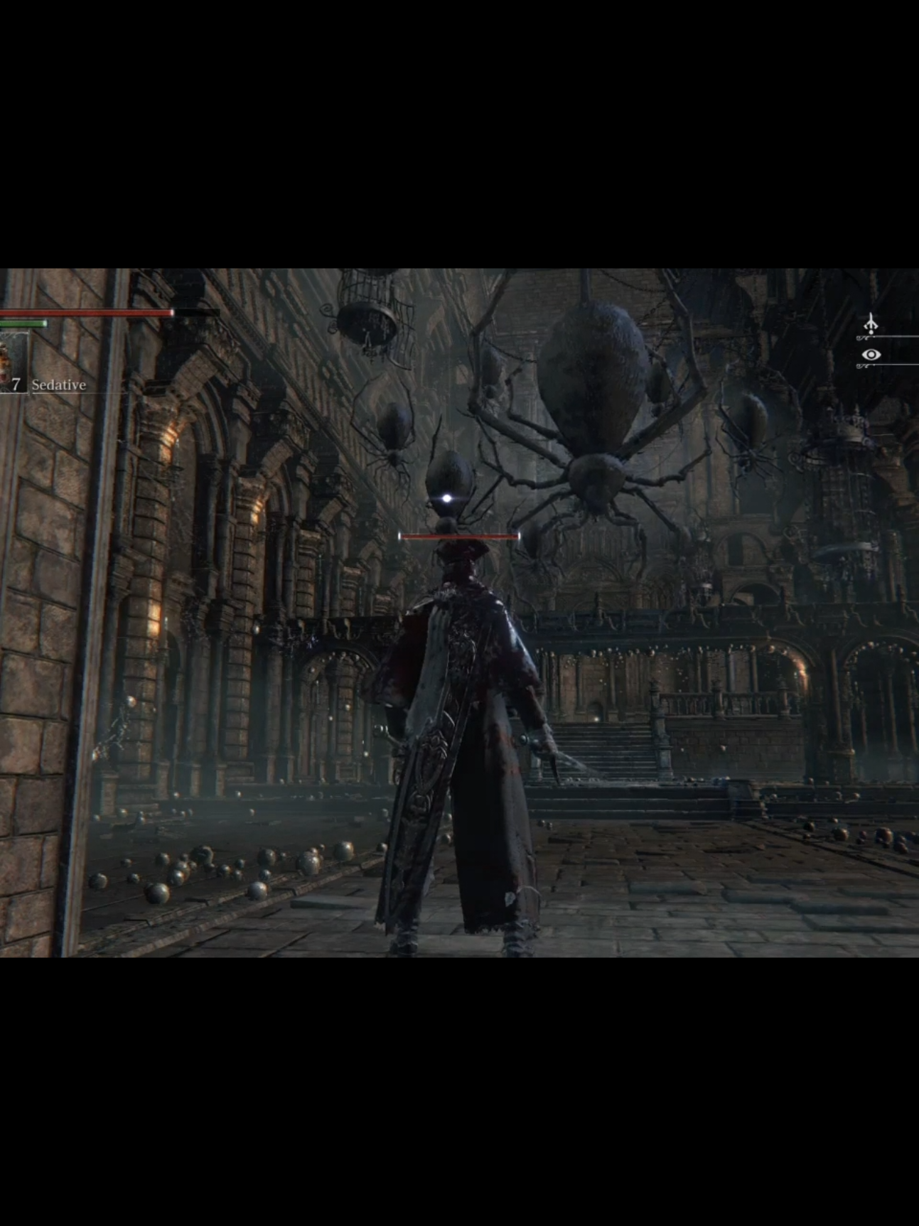 #alquiler #araña #meme #viral #manigoldodechaco 