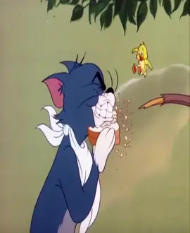 #phimhoathinh #tomandjerry #cartoon 