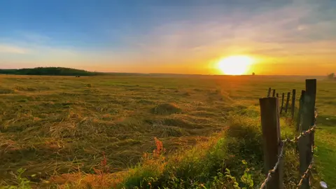 😘🍃🌾#ទេសភាពស្រុកស្រែ🌄🏜️🌱🌼🌾🐟 