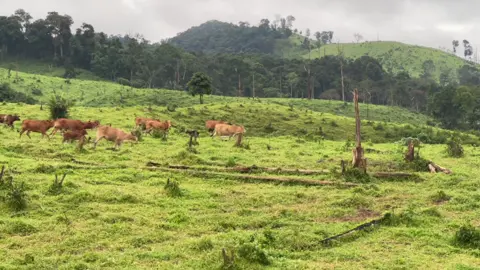 #ใจกะเสด #ໃຈກະເສດ 