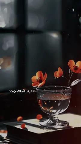 “ Cuộc đời mà thì phải có  những khúc cua… #tramnhachay_0203 #BKmuzic  @𝚃𝚛â𝚖 𝚃𝚛â𝚖𝚖 🧸 