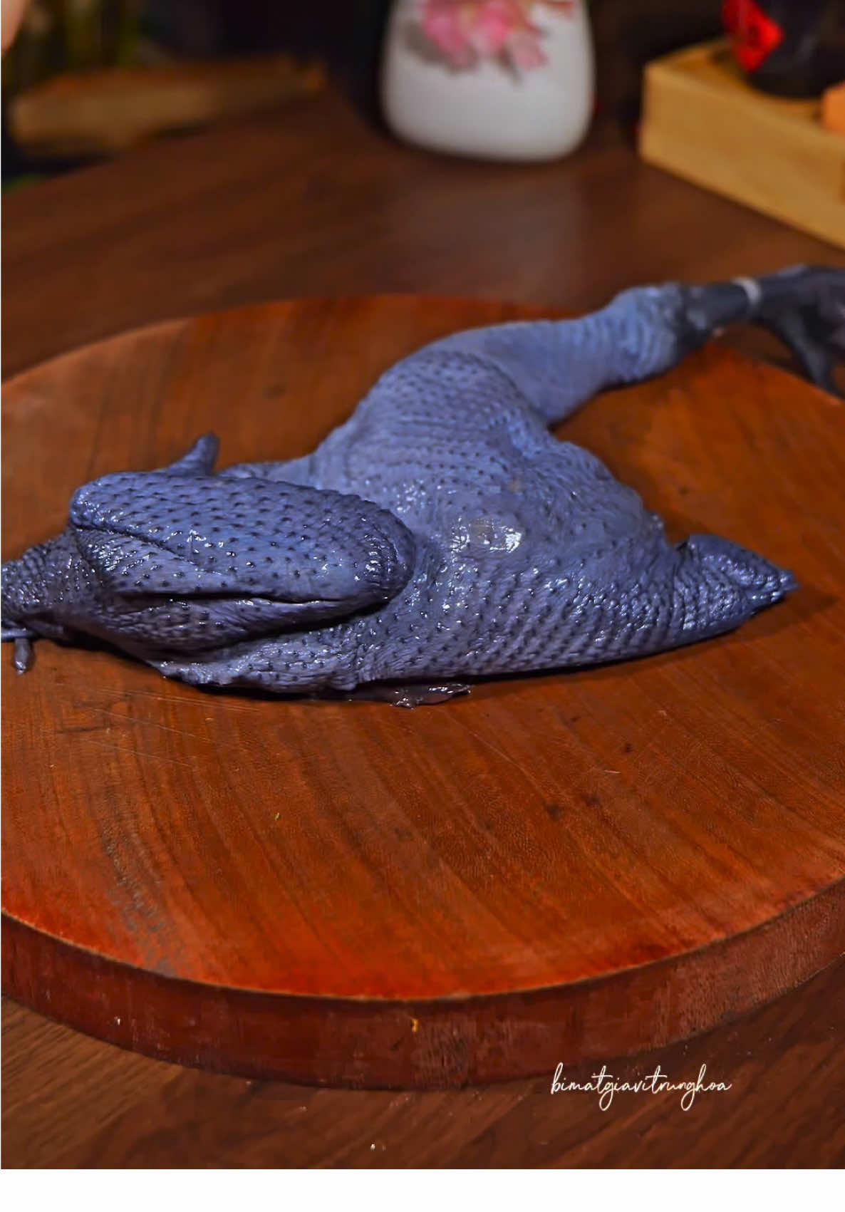 Một nồi gà ác hầm nấm Matsutake Vân Nam bổ gấp bội, nước ngọt trong, thơm lừng. Chỉ cần 1 gói nấm phối sẵn là nấu chuẩn vị như nhà hàng. Người già, trẻ nhỏ đều mê! Lưu lại để nấu ngay nhé! #huongvithienha #nauan #monngonmoingay #amthuctiktok #anvat 