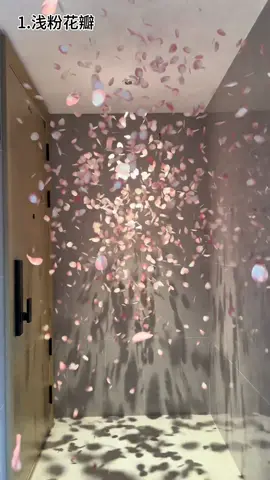 Bạn ưng loại pháo nàoo😍🌷 Riêng mình thì ưng tất😘#decor #cuoi #taobao #xuhuong #trangtri 