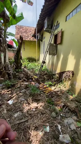 Penting menghasilkan #serviceacrembang #pasangacrembang #rembangstory #rembanghits #rembang24jam 