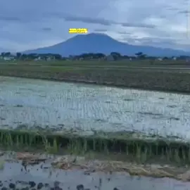 ketika emak mu berzodiak Leo ♌ #zodiak #leo #zodiaktiktok #fyp 