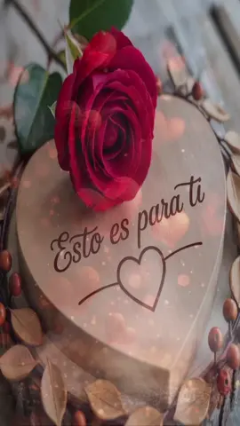 Te amo 😘⚘️🫶#teamo❤️ #enamorados💞💓🥰 #juntoshastaelfinal #frasesdeamor #paratiiiiiiiiiiiiiiiiiiiiiiiiiiiiiii 