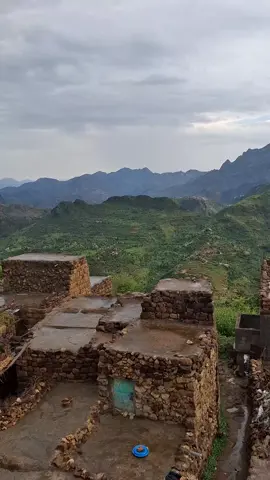 #ايوب_طارش_طرب_يمني_حب_عشق_اشتياق_غرب #فتشت_لك_يا_حبيبي_في_خيوط_الوتراوووا #وصاب_جنة_اليمن 