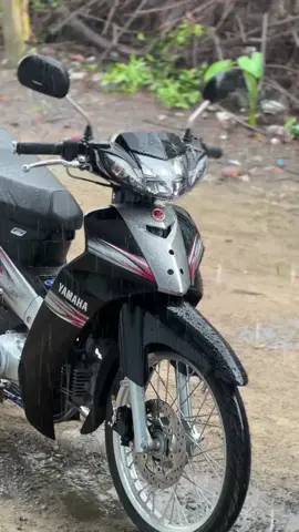 hết 🔥 qua tết rã nha...🫩#siriusđộkiểng #siriusblack #xuhuong #viral #tiktok 