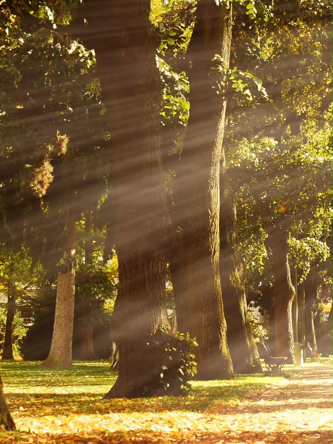 “Nadie es Perfecto” #videosvirales  #tendencias  #pazinterior #videoscristianos🎶💖🙏 #palabradedios