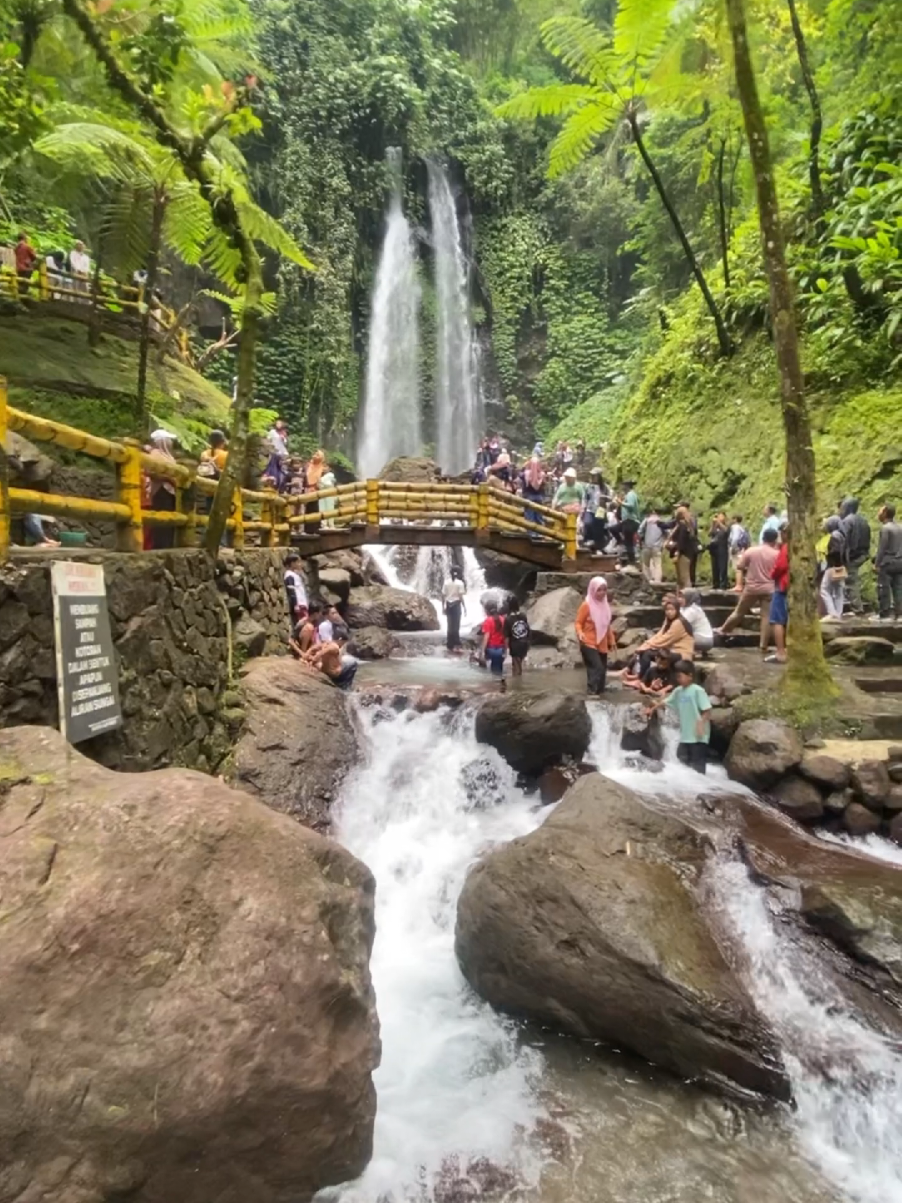 air terjun jumog #berjogawetresno #airterjunjumogreall #tarzanyez 