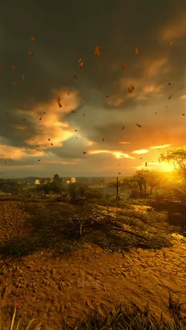 #vibes #aesthetic #sunset #sunsetvibes 