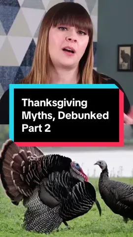 Did you know? #fyp #foryoupage #thanksgiving #facts #trivia 