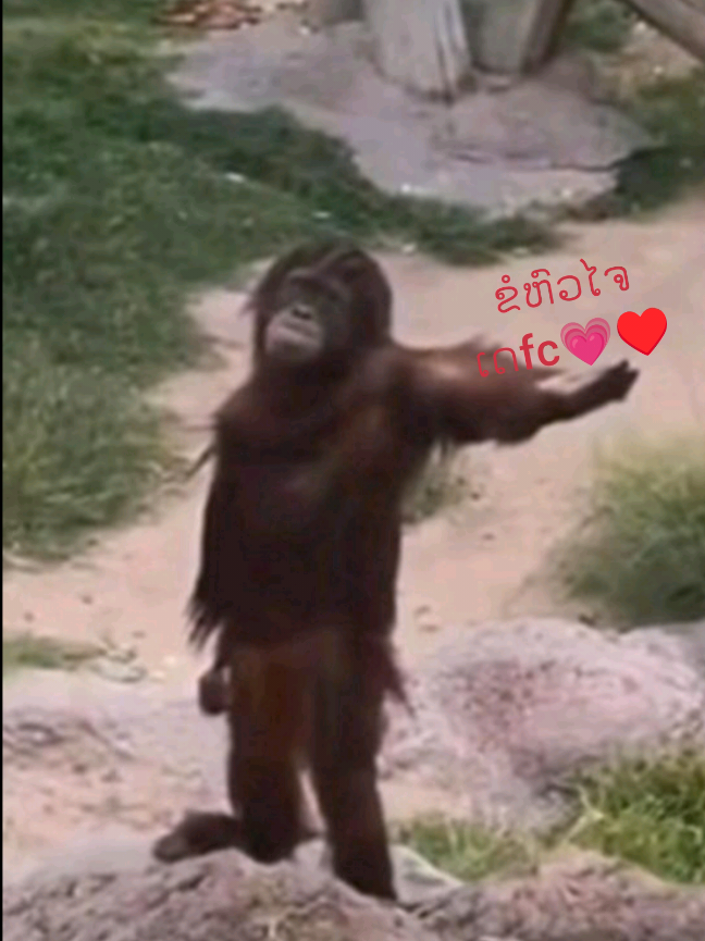 ພີ ເ ມ ັ ງ 💖💗 ໂ ສ ດ 