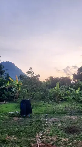 #ti̇ktok #วิถีบ้านสวน #fyp 