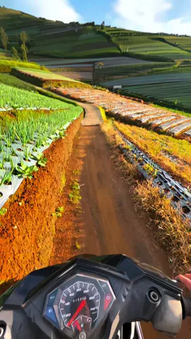 🌞🌞 #2025 #magelang24jam #gunungsumbing #petaniindonesia🇮🇩🇮🇩🇮🇩🌿🌿 #pesonaalamindonesia 