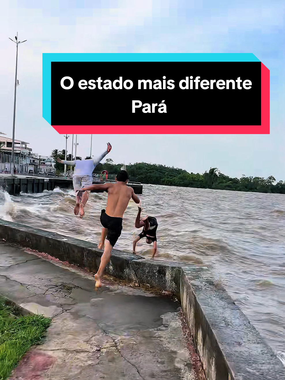 Pará o Estado mais diferente de todos #para #brasil #belem #curiosidades 