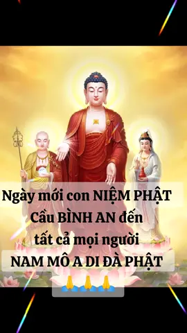 Ngày mới con NIỆM PHẬT  Cầu BÌNH AN đến  tất cả mọi người  NAM MÔ A DI ĐÀ PHẬT  🙏🙏🙏#nammoadidaphat🙏🙏🙏 #phatphapnhiemmau🙏🙏🙏 #nammoadidaphat #xuhuongtiktok #phatphap 