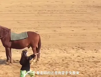 以为是王者结果是。。。。。披麻布😂😂😂😂😂#funnyvideos 