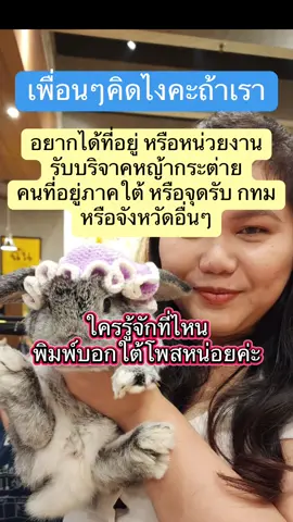 ทุกคนมาช่วยกระต่ายที่ประสบภัยภาคใต้กันดีไหมคะ  นอกจากคนยังมีสัตว์มากมาย ใครรู้ที่อยู่ จุดรับบริจาค หรือหน่วยงานรับบริจาคตรงนี้ แบบว่าหญ้าจะไม่เสียหายหรือถูกทิ้งหมด  มีพี่ที่รู้จักติดต่อไปหลายที่บอกว่าช่วยคนก่อน เลยอยากให้ทุกคนช่วยกันนะคะ เป็นกระบอกเสียงใครผ่านมาเจอโพสนี้ของเรา มาปรึกษากันประสานงานกันค่ะ   ขอคนอยากช่วยจริงๆ #น้ำท่วม ##ช่วยกระต่าย##บริจาคหญ้า#น้ำท่วมภาคใต้ #ช่วยเหลือ