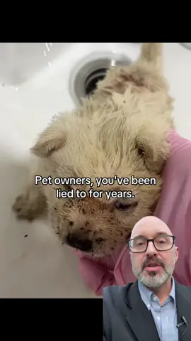 Pet owners, you’ve been lied to for years #petsafety #petremedies #PetCareHacks #DogHealthTips #HealthyDogs 