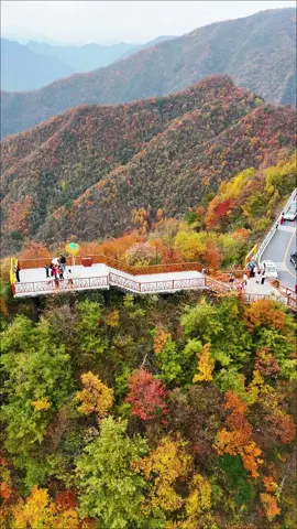 Beautiful Scenery on the Road in Autumn 