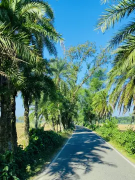 তোমার ছাড়া এই আকাশ সাজে নাহ #unfrezzmyaccount #foryoupage #foryou 