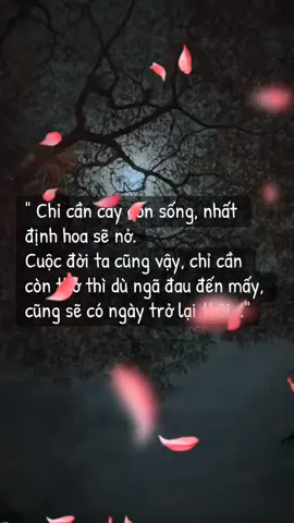 Rồi một ngày đẹp trời mình sẽ quay về chính mình... #buon_tam_trang #stt_buồn_tâm_trạng 