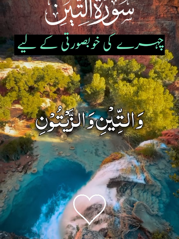 Surah At-Tin  With Urdu translation 🫶🕋🫶  #راحة_نفسية😍🕋🕊️ #القران_الكريم_راحه_نفسي😍🕋 #سبحان_الله_وبحمده_سبحان_الل #القران_الكريم #ارح_سمعك_بالقران #سبحان_الله_وبحمده_سبحان_الله_العظيم #امين_يارب_العالمين #صلوا_على_رسول_الله🤲🕋 #دوردشریف_پڑھ_لیجے #Tiktok #muslimtiktok #foryoupage❤️❤️ #fyppppppppppppppppppppppp #4you #growmyaccount #quran_alkareem #quran_alkareem #tiktokpakistan🇵🇰 #quran @TikTok Pakistan 