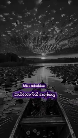 ရောက်ချင်းတဲ့နေ့ရာရောက် #မင်းတို့idolဖစ်ချင်လို့🤭💖  #creatorsearchinsights #edit #song #CapCut @𝐀𝐫𝐟𝐚𝐝(𝐎𝐟𝐟𝐢𝐜𝐢𝐚𝐥) @❤️‍🩹MiMi❤️‍🩹 @Amir khan 