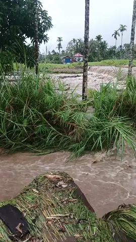 smoga cepat berakhir
