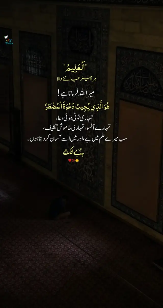 #unfrezzmyaccount #viwesproblem #urdupoetry #growmyaccount #foryoupage 