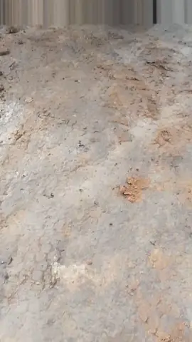 melelahkan tapi bukan pilihan## jalan haoling batu bara##🔥🔥🔥 