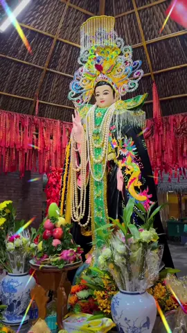 #memautiengiang #memaudieutri #dieutrikimmau🙏🙏🙏 #dieutrikimmau 