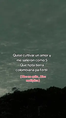 #viral_video #pavinonabido💃🕺 #pypシ 