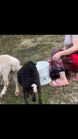 مهما يلوعني الحنين#ايوب_طارش #صنعاء_تعز_عدن_اب_ذمار_حجة_حضرموت #الرياض_جده_مكه_الدمام_المدينه #اكسبلور#السعودية 