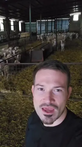 Catch us on www.traxfm.org  #originalpirates 