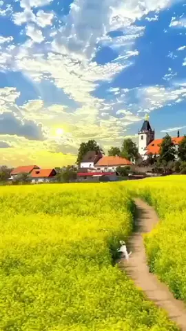 #ช่องเพลงดังในอดีต 