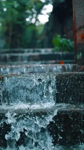 kerala #viralvideos #statusvideo #likе #tik_tok #friendship 